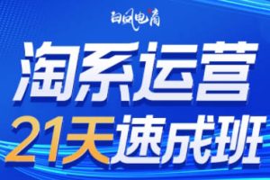 白凤电商·淘系运营21天速成班（更新11月）