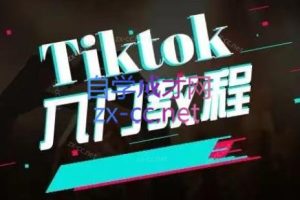 纵横跨境·2024TikTok变现实操课程（更新）