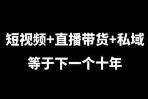 辉总·短视频+直播带货+私域下一个十年