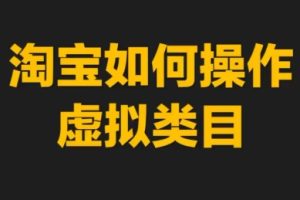 力辛电商·淘宝虚拟类目玩法实操