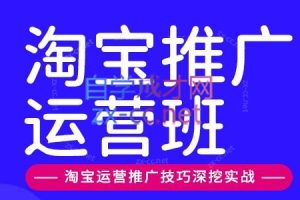 美迪电商·淘宝高级运营班+推广运营班（更新12月）