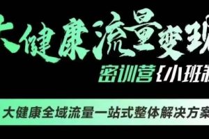 方耿耿·大健康流量变现密训营（9.1-9.2）