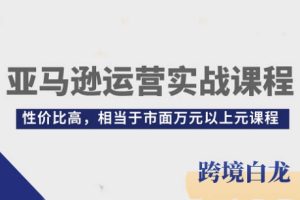 白龙老师·亚马逊运营实战课程