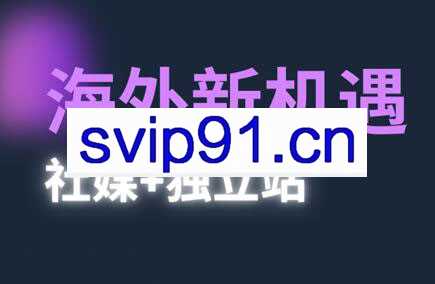 棕榈·2025出海新机遇（社媒+独立站）