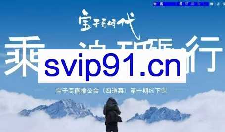 宝子哥·4月12-13号第十期线下课（录音+PPT，送9期）