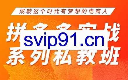 华生老师·2025拼多多实战系列私教班