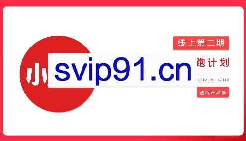 2025小红书虚拟电商实战课