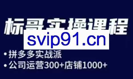 标哥电商·拼多多飞龙在天玩法（更新3月）