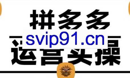 仙道电商·2025拼多多运营实战课