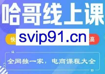 哈哥电商线上课程（2025版）