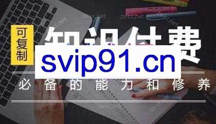 君哥·IP合伙人知识付费虚拟项目（更新）