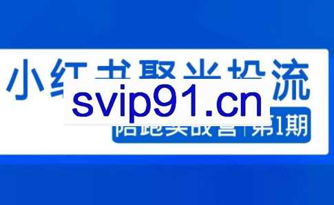 钟小玲·小红书聚光投流陪跑实战营