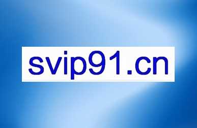 DeepSeek 新手到老手全攻略：速通手册带你解锁 AI 技能