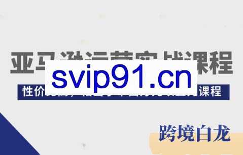 白龙老师·亚马逊运营实战课程