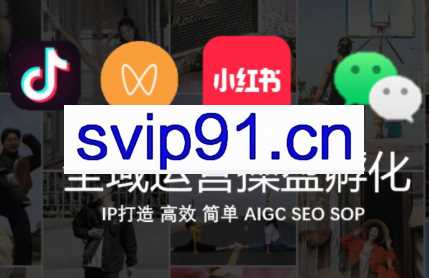 全域运营操盘（抖音+私域+小红书）