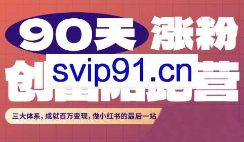 璐璐老师·90天涨粉创富陪跑营