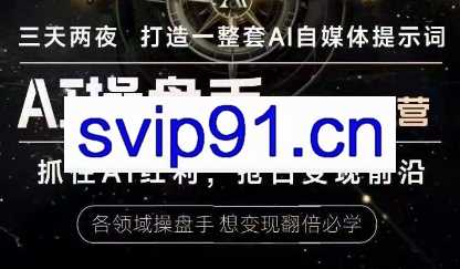 白先生·AI操盘手线下训练营