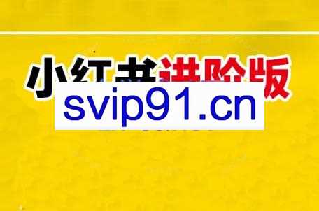 日日老师·小红书电商进阶版