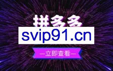 力辛电商·拼多多强付费店群玩法