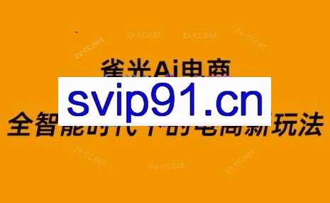 雀光Ai电商·全智能时代下的电商新玩法（更新8月）