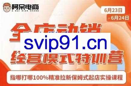 阿呆电商·全店动销经营模式特训营（线下录音+思维导图）