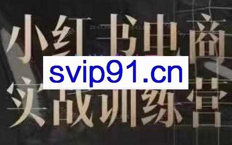 余文·小红书电商实战训练营（更新24年6月）