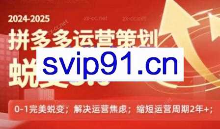 大力老师·2024拼多多运营策略蜕变3.0