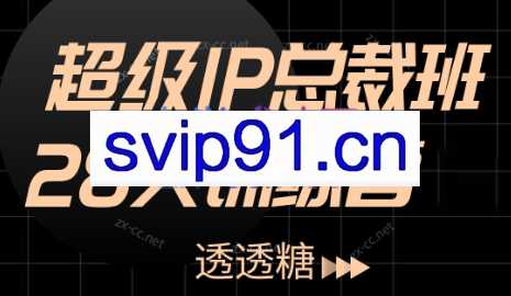 透透糖·超级IP总裁班-28天训练营