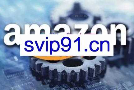 轩哥·亚马逊认知+AI解构+类目秘密洞察三合一