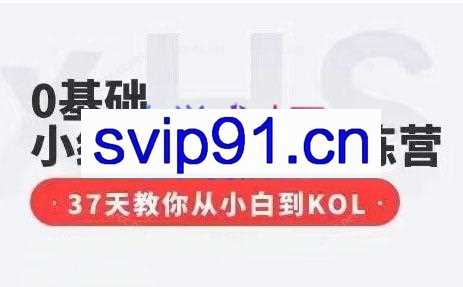 许多钱·0基础小红书博主IP训练营
