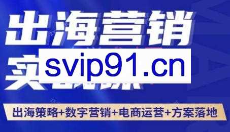 Annie·出海营销实战课（品牌策略数字营销策划方案FacebookGoogle）