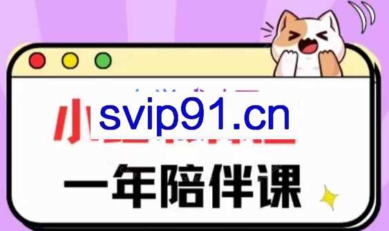 三九小红书开店一年陪伴课（更新）