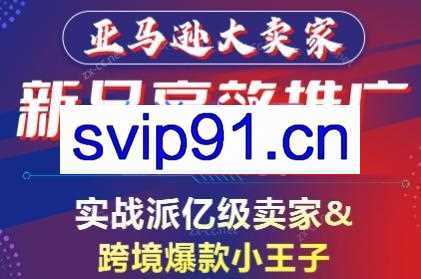 亚马逊大卖家-新品高效推广