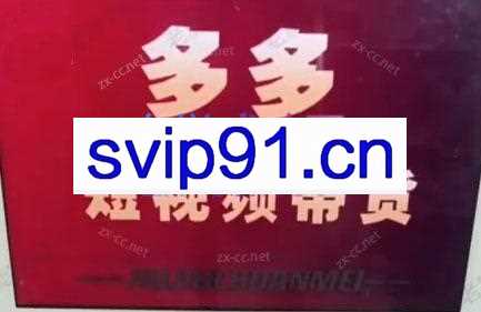 老旋·2024拼多多视频变现教学训练营