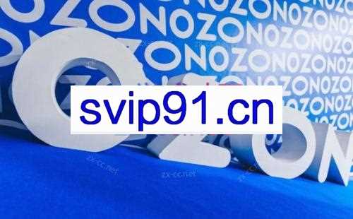 森哥·出海俄罗斯电商实操（2024）