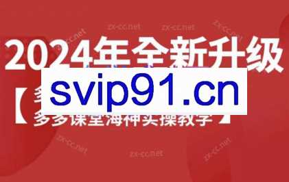 海神老师·拼多多运营必学体系课