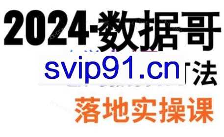 数据哥·2024年千川前沿打法落地实操课