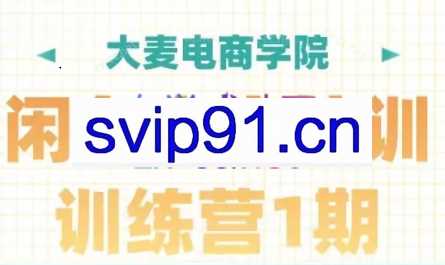 大麦电商·闲鱼电商培训训练营（第1期）