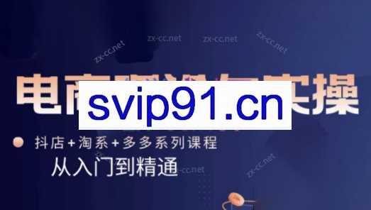 磊子·电商理论与实操（抖店+淘系+拼多多）