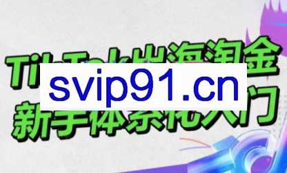 大彬老师·TikTok出海淘金，新手体系化入门