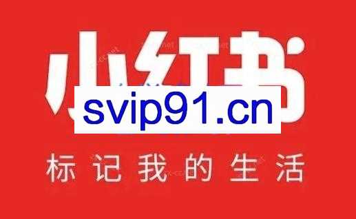 猎人联盟·小红书电商（网商）