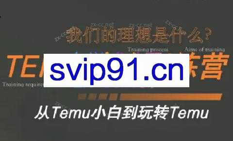 苗苗·拼多多跨境（temu）课程