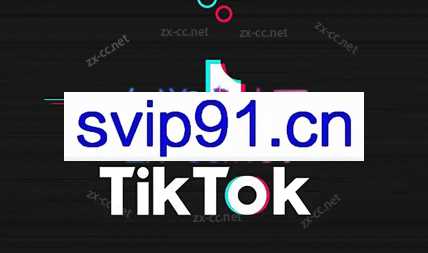 TikTok短视频运营+跨境小店运营