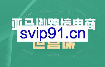 迷老师·亚马逊数据运营课程