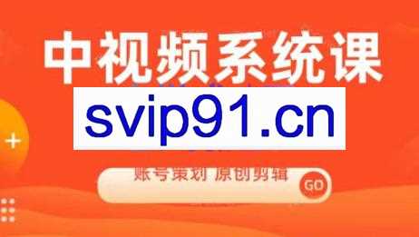 馒头老师·中视频系统课程