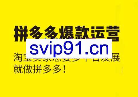 张广辉·拼多多爆款运营课程（更新）