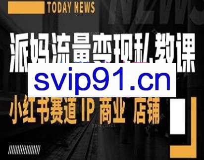 派妈流量变现私教课