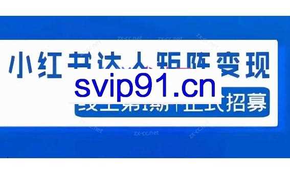宅男·小红书达人矩阵变现陪跑