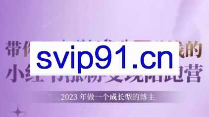 土豆姐姐个人ip+电商全陪跑营