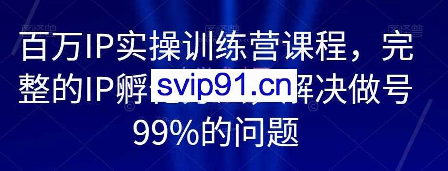 新哥·百万IP实操训练营课程